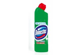 Domestos Pine 750ml